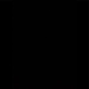 Meet your Posher, Leda